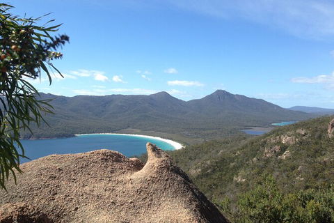 Wineglass Bay And Freycinet National Park Active Day Trip From Hobart - Grafton Accommodation 33