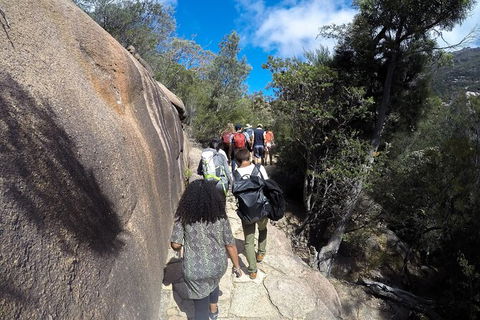 Wineglass Bay And Freycinet National Park Active Day Trip From Hobart - Grafton Accommodation 21