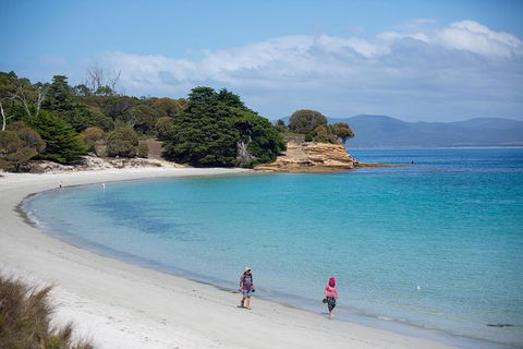 Maria Island Active Day Trip From Hobart - Grafton Accommodation 1