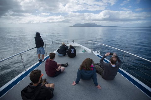 Maria Island Active Day Trip From Hobart - Grafton Accommodation 13