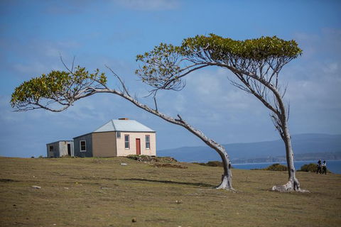 Maria Island Active Day Trip From Hobart - Grafton Accommodation 3
