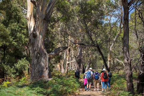 Maria Island Active Day Trip From Hobart - Grafton Accommodation 12