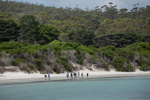 Maria Island Active Day Trip From Hobart - Grafton Accommodation 11