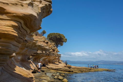 Maria Island Active Day Trip From Hobart - Grafton Accommodation 5