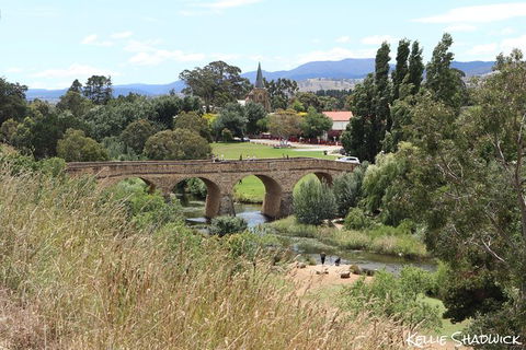 Mt Wellington And Richmond Historical Village Discounted Combo Tour - Grafton Accommodation 1