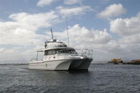 Bonnet Island Experience Departing From Strahan - Grafton Accommodation 1