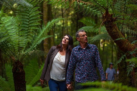 West Coast Wilderness Railway: River And Rainforest From Strahan - Grafton Accommodation 1