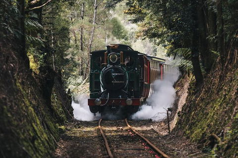 West Coast Wilderness Railway: River And Rainforest From Strahan - Grafton Accommodation 2