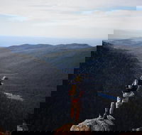 Mount Field National Park - Tarn Shelf  Russell Falls - Guided Hiking Tour - Grafton Accommodation
