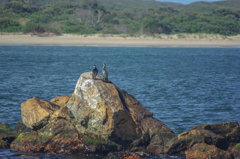 Gordon River Cruise Departing From Strahan - Grafton Accommodation 11