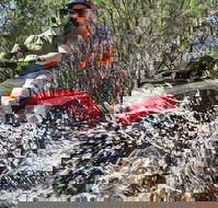 Quad Bike 2-Hour Adventure Freycinet National Park - Grafton Accommodation