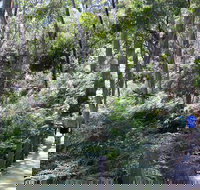Self-Guided Waterfall Gully to Mount Lofty Hike from Adelaide