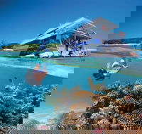3-Day Southern Great Barrier Reef Tour Including Lady Musgrave Island - Grafton Accommodation