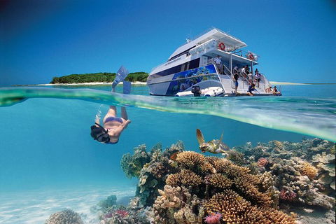 3-Day Southern Great Barrier Reef Tour Including Lady Musgrave Island - Grafton Accommodation 0