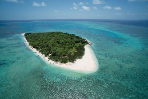 3-Day Southern Great Barrier Reef Tour Including Lady Musgrave Island - Grafton Accommodation 1