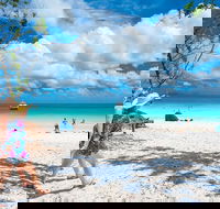Whitehaven Beach Half-Day Cruises - Grafton Accommodation