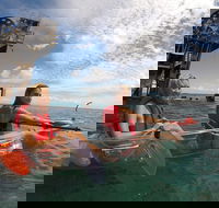 Moreton Island Day Trip Kayak Snorkel  Sandboard frm Brisbane or Gold Coast - Grafton Accommodation