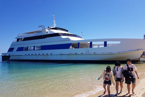 Moreton Island Day Trip (Kayak, Snorkel & Sandboard) Frm Brisbane Or Gold Coast - Grafton Accommodation 10