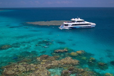 Silversonic Outer Great Barrier Reef Dive And Snorkel Cruise From Port Douglas - Grafton Accommodation 2