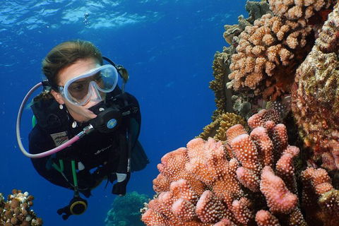 Silversonic Outer Great Barrier Reef Dive And Snorkel Cruise From Port Douglas - Grafton Accommodation 5