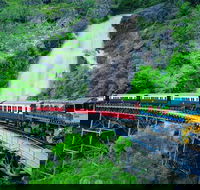 Full-Day Tour with Kuranda Scenic Railway Skyrail Rainforest Cableway and Hartley's Crocodile Adventures from Cairns - Grafton Accommodation