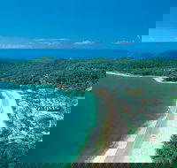 Sunshine Coast Hinterland and Noosa Day Trip from Brisbane Including Eumundi Markets and Ginger Factory - Grafton Accommodation