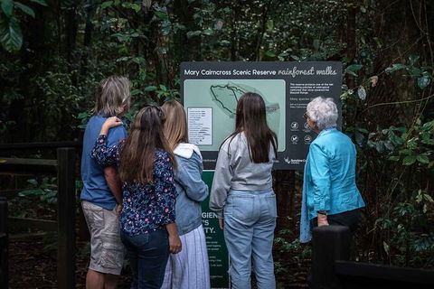 Sunshine Coast Hinterland And Noosa Day Trip From Brisbane Including Eumundi Markets And Ginger Factory - Grafton Accommodation 4