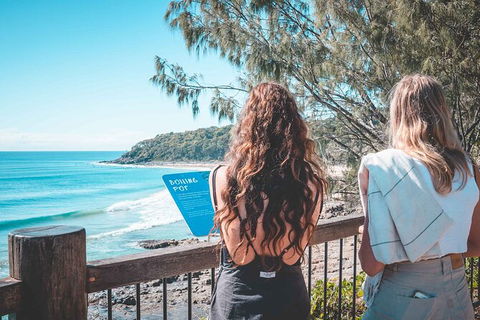 Sunshine Coast Hinterland And Noosa Day Trip From Brisbane Including Eumundi Markets And Ginger Factory - Grafton Accommodation 9
