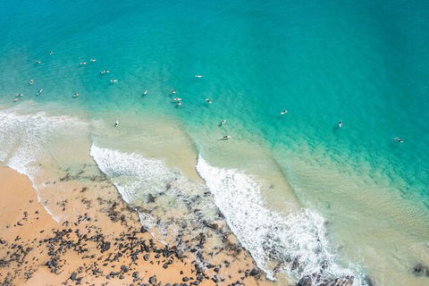Sunshine Coast Hinterland And Noosa Day Trip From Brisbane Including Eumundi Markets And Ginger Factory - Grafton Accommodation 10