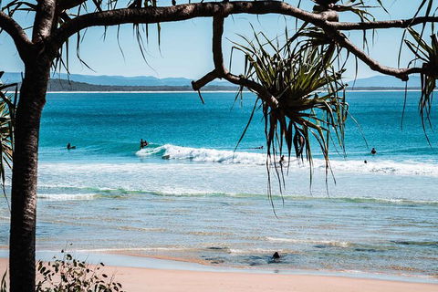 Sunshine Coast Hinterland And Noosa Day Trip From Brisbane Including Eumundi Markets And Ginger Factory - Grafton Accommodation 8