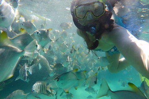 Moreton Island Snorkel And Sandboarding 4WD Day Trip From Brisbane - Grafton Accommodation 7