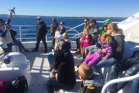 Hervey Bay Whale Watching Experience - Grafton Accommodation 10