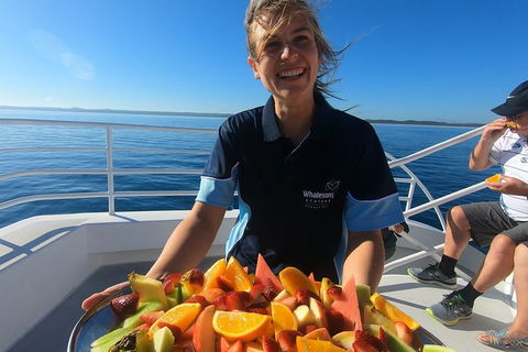 Hervey Bay Whale Watching Experience - Grafton Accommodation 5
