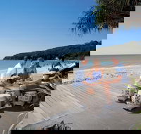 Noosa and Sunshine Coast Hinterland Day Trip from Brisbane - Grafton Accommodation