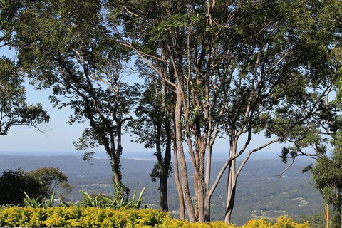 Noosa And Sunshine Coast Hinterland Day Trip From Brisbane - Grafton Accommodation 10