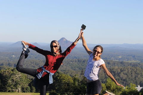 Noosa And Sunshine Coast Hinterland Day Trip From Brisbane - Grafton Accommodation 6