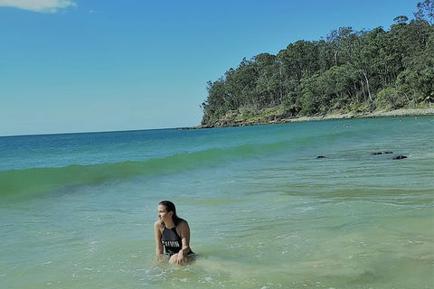 Noosa And Sunshine Coast Hinterland Day Trip From Brisbane - Grafton Accommodation 4