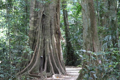 Noosa And Sunshine Coast Hinterland Day Trip From Brisbane - Grafton Accommodation 8