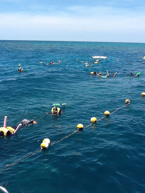 Quicksilver Outer Great Barrier Reef Snorkel Cruise From Port Douglas - Grafton Accommodation 2