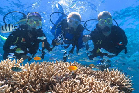 Quicksilver Outer Great Barrier Reef Snorkel Cruise From Port Douglas - Grafton Accommodation 1