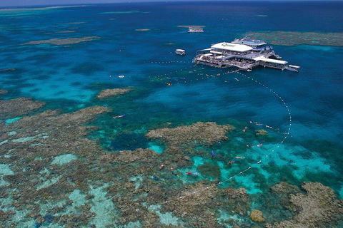 Quicksilver Outer Great Barrier Reef Snorkel Cruise From Port Douglas - Grafton Accommodation 0