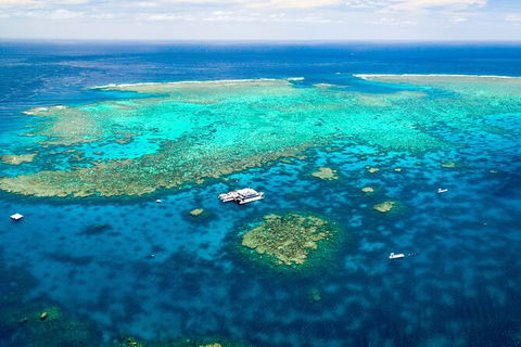 Quicksilver Outer Great Barrier Reef Snorkel Cruise From Port Douglas - Grafton Accommodation 5