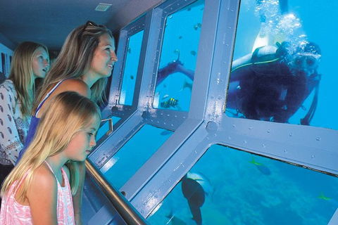 Quicksilver Outer Great Barrier Reef Snorkel Cruise From Port Douglas - Grafton Accommodation 8