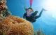 Quicksilver Outer Great Barrier Reef Snorkel Cruise From Port Douglas - thumb 9
