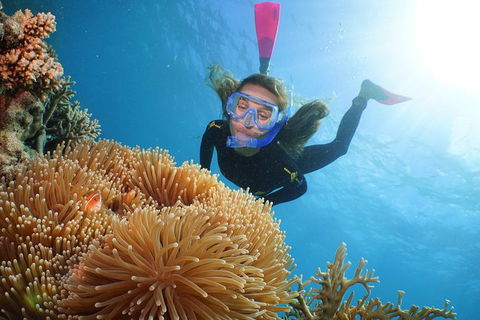 Quicksilver Outer Great Barrier Reef Snorkel Cruise From Port Douglas - Grafton Accommodation 9