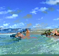 Horse Swimming Ride from Rainbow Beach - Grafton Accommodation