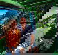Skyrail Rainforest Cableway Day Trip from Palm Cove - Grafton Accommodation