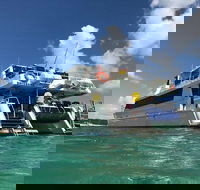 Eco Marine Safari - Boom netting  Snorkeling Moreton Island - Fortitude Valley - Grafton Accommodation