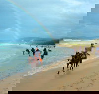 Rainbow Beach Horse Ride - Grafton Accommodation