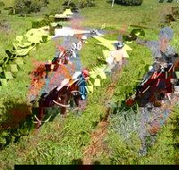 Country Day Ride from Mt Goomboorian with Rainbow Beach Horse Rides - Grafton Accommodation